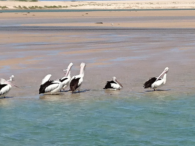 WatersEdge Seafood Restaurant - The Entrance