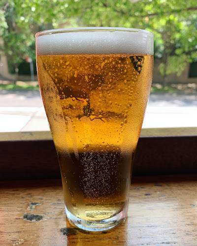 Opinii despre Chatswood Monkey Bar în Chatswood - Hospitality and gastronomy