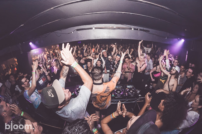 Bloom - Hospitality and gastronomy