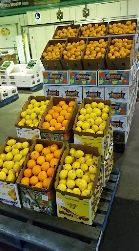 4 Rural Dr, Sandgate NSW 2304