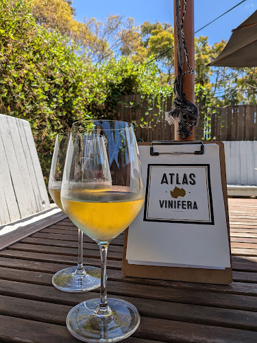 Comentarii opinii despre Atlas Vinifera