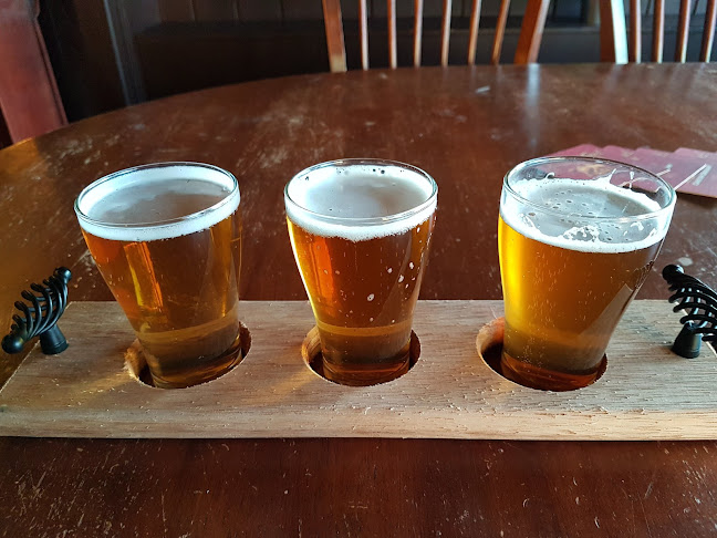 The Pot Belly - Hospitality and gastronomy