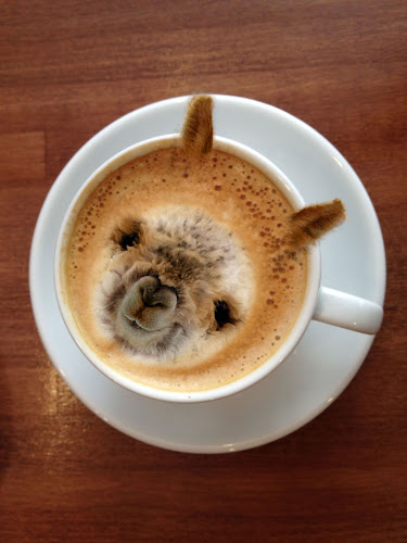 Shop 2-4/Lot 117 Old Hume Hwy, Berrima NSW 2577