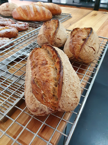 Le Peche Gourmand - Hospitality and gastronomy