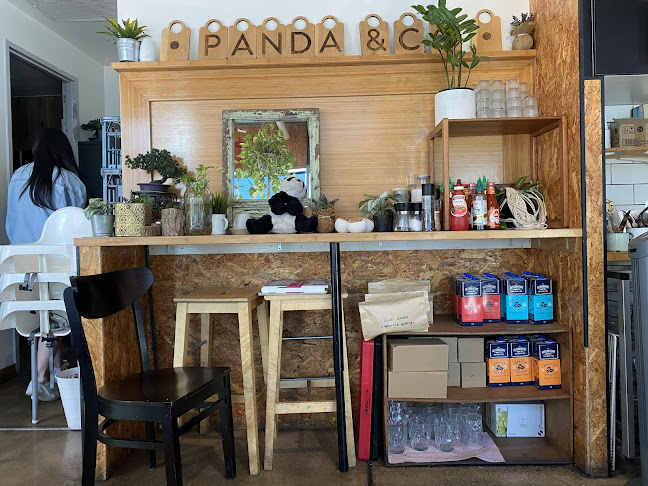 Comentarii opinii despre Panda & Co