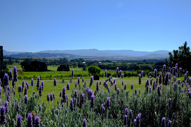 Comentarii opinii despre Mountain Ridge Wines Restaurant & Cellar Door