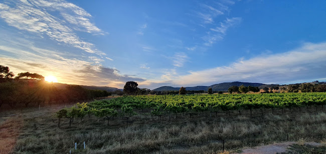 The Watchbox - Hospitality and gastronomy