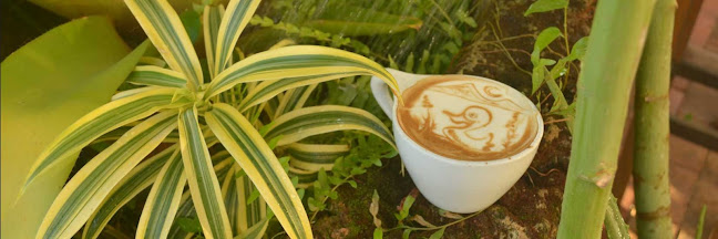 Sipping Duck Coffee Roasters