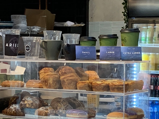 Ariel's Figtree - Figtree