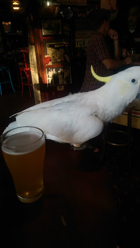 Opinii despre Friend in Hand Hotel în Glebe - Hospitality and gastronomy