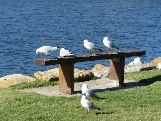 Rose's Cafe - Hospitality and gastronomy