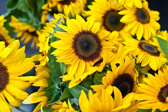 Comentarii opinii despre Willunga Farmers Market