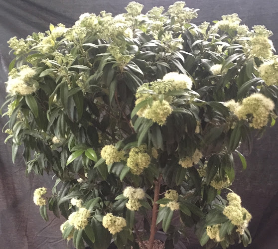 47 Louisa St, Gympie QLD 4570