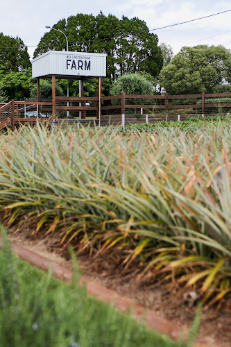 Wellington Point Market Hall - Brisbane