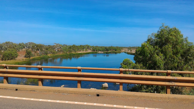 Burger Bus WA - Perth