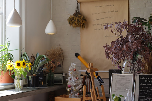 Comentarii opinii despre The Little Poet