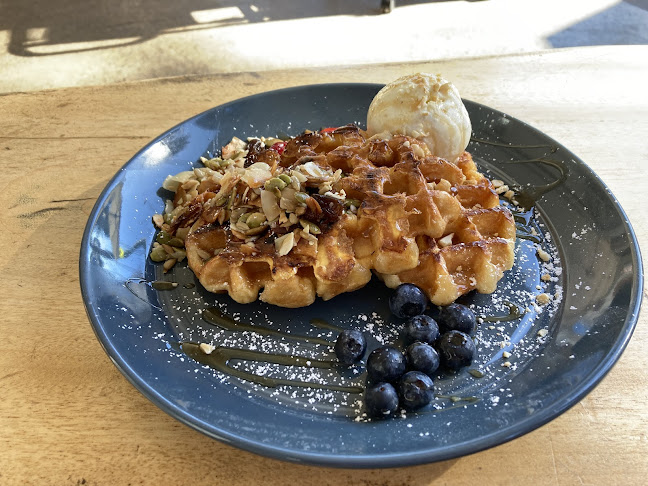 Comentarii opinii despre Roam