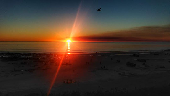 Blue Wren Cafe - Bunbury