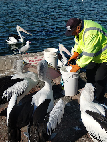 Euro Bean Cafe & Bar - The Entrance