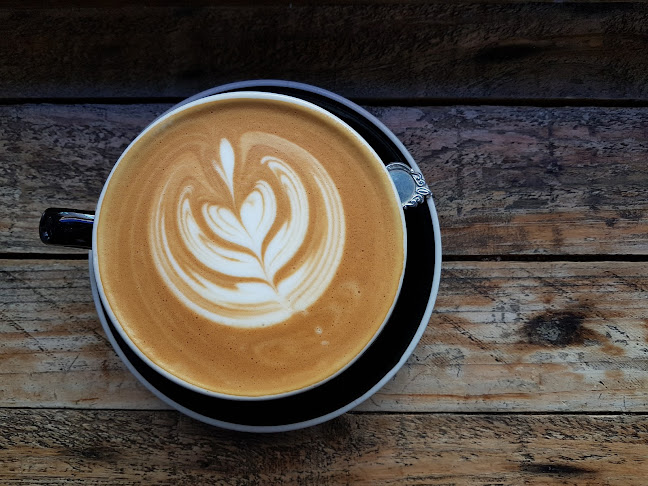 1/151 Gordon St, Port Macquarie NSW 2444