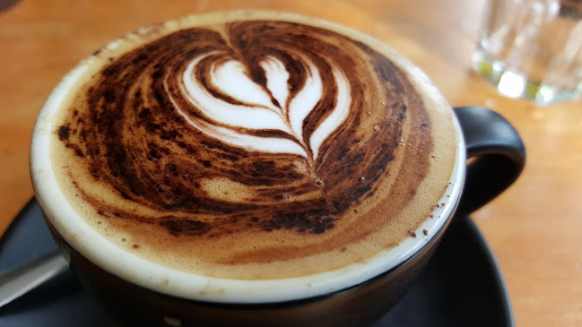 Comentarii opinii despre Bloom PMQ