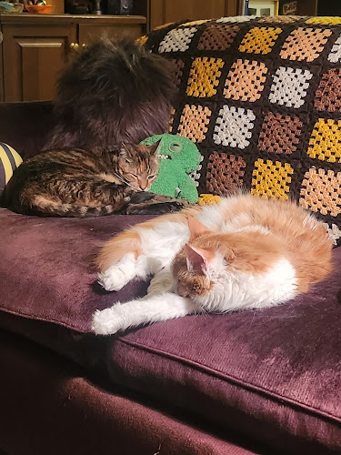 Comentarii opinii despre Stan's Food Bar