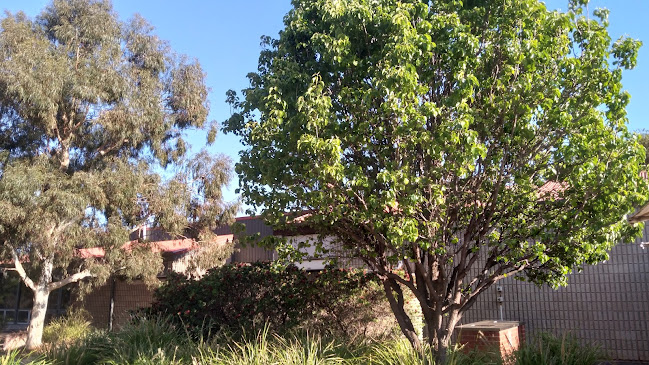 Mint Cafe Whyalla - Hospitality and gastronomy