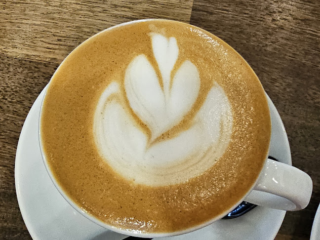 1/40-42 Hanlan St, Surfers Paradise QLD 4217