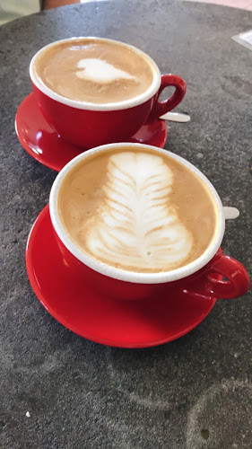 Sipping Duck Coffee Roasters - Hospitality and gastronomy