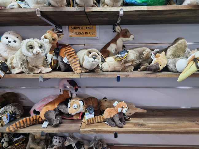 The Amazing Mill Markets - Newcomb