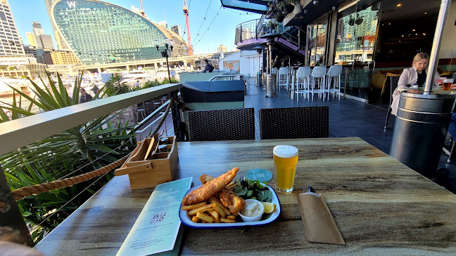 Cohibar - Hospitality and gastronomy