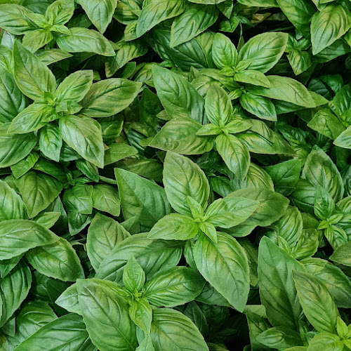 Comentarii opinii despre HARTLEYS FRESH MARKET