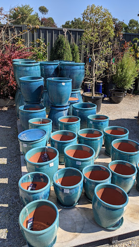 Comentarii opinii despre Van Loon’s Cafe