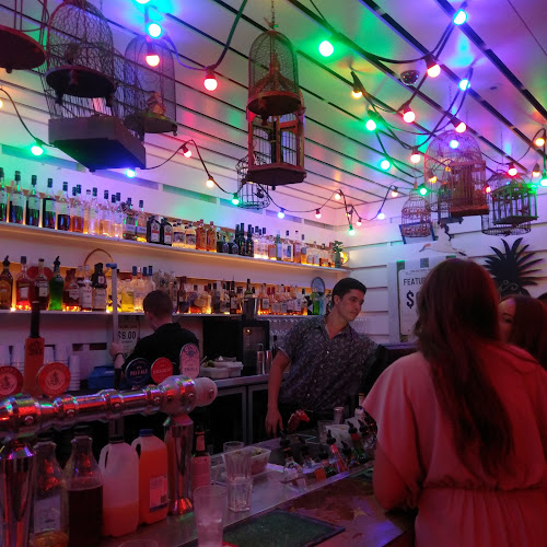 Comentarii opinii despre Dandy's Rooftop Bar