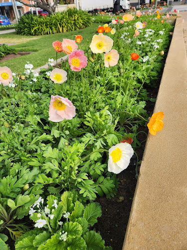 Lambton Park Tearooms - Hospitality and gastronomy