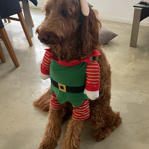 Little Figs - Carrington