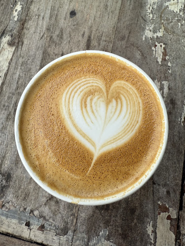 Comentarii opinii despre Steam & Cedar