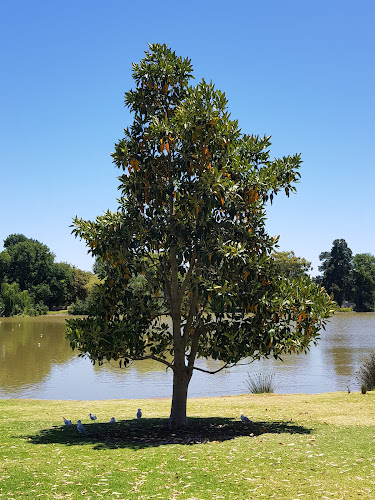 Coffee Man at Lake Weeroona - Bendigo