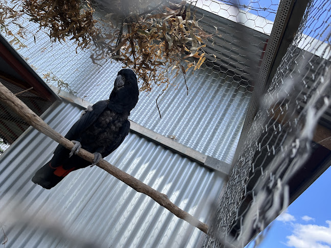 Sandy Creek Pub - Hospitality and gastronomy