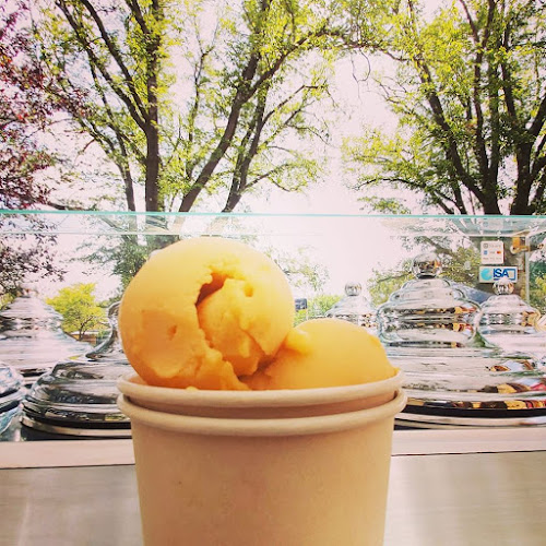 Opinii despre Mellabella Gelato în Sydney - Hospitality and gastronomy