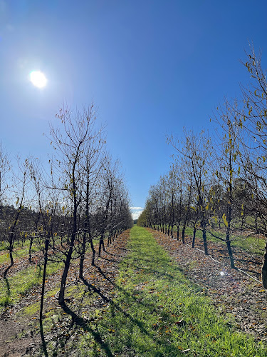 Raeburn Orchards - Hospitality and gastronomy