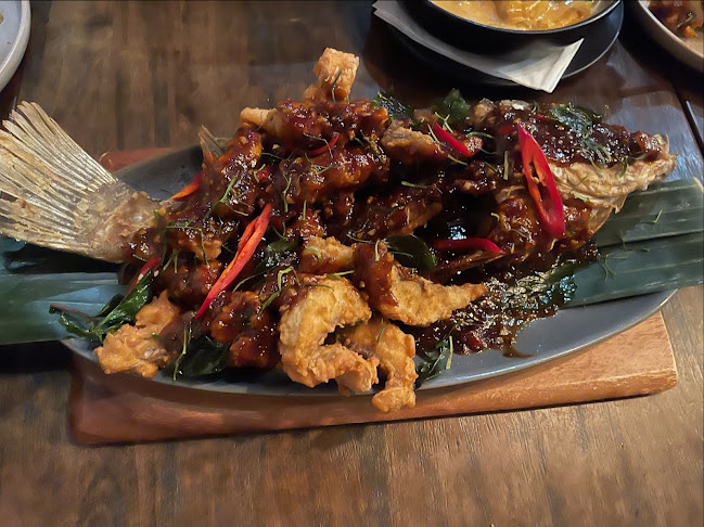 Infusion Cafe & Thai - Hospitality and gastronomy