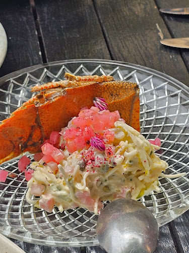 Opinii despre Nu Nu Restaurant în Palm Cove - Hospitality and gastronomy