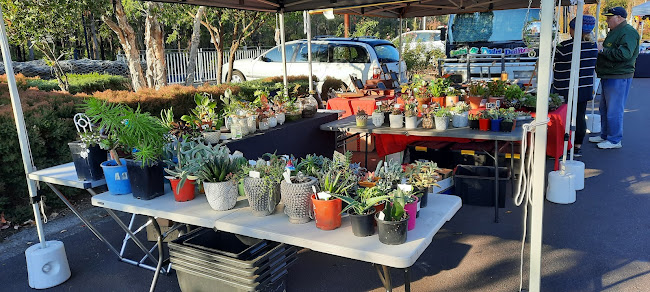 Nil - Hospitality and gastronomy