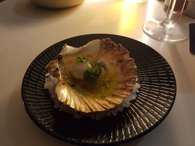 Sydney Cove Oyster Bar - Hospitality and gastronomy