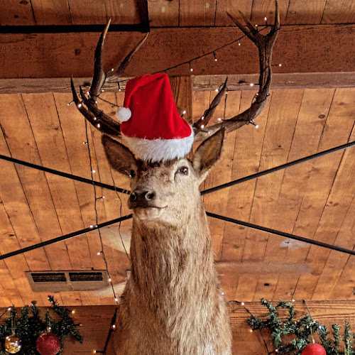 35 Mount Barker Rd, Hahndorf SA 5245