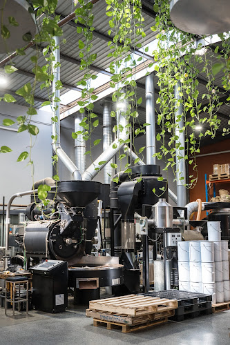 12 Cavendish Rd, Coorparoo QLD 4151