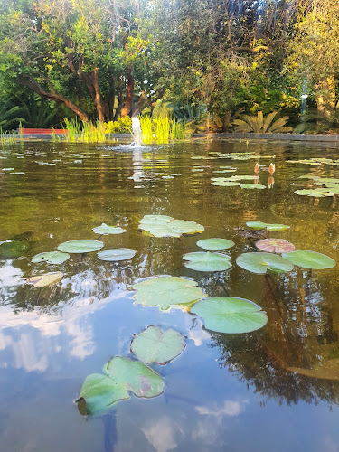 Urban Grounds Cafe - Toowoomba City