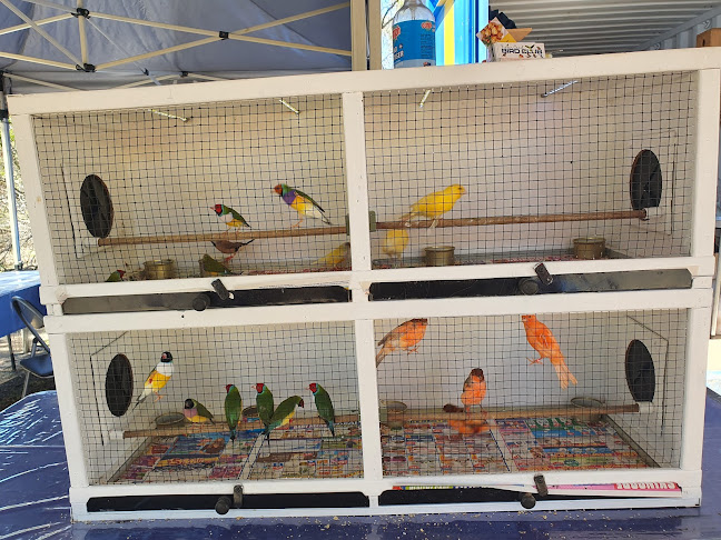 Koala Weekend Markets - Hospitality and gastronomy