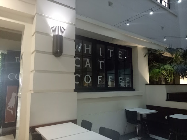 The White Cat Coffee - Brisbane City